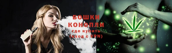дмт Арсеньев