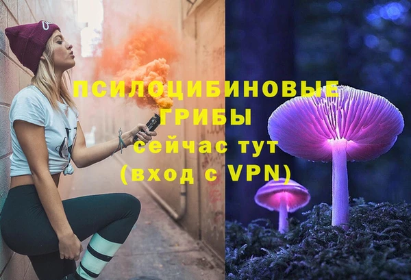 трава Армянск