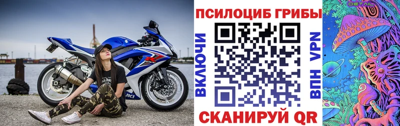 Псилоцибиновые грибы Psilocybe  Углегорск 